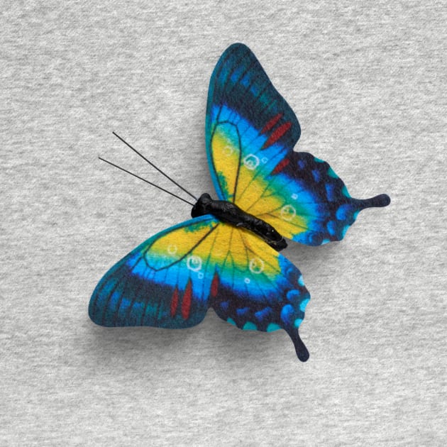 Real Butterfly Blue Yellow by Ken Adams Store